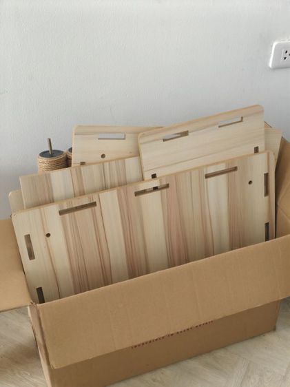 คอนโดแมว มือสอง รูปที่ 2