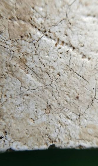 พระสมเด็จ วัดระฆัง บางขุนพรหม วัดเกศไชโย หลวงปู่ภู หลวงปู่นาค รูปที่ 18