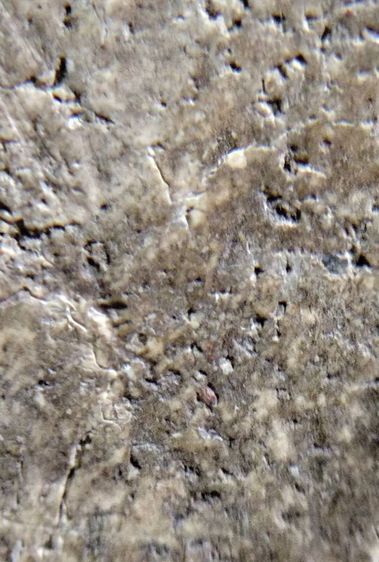 พระสมเด็จ วัดระฆัง บางขุนพรหม วัดเกศไชโย หลวงปู่ภู หลวงปู่นาค รูปที่ 9