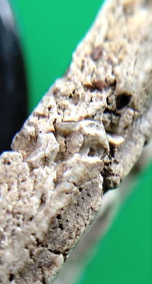 พระสมเด็จ วัดระฆัง บางขุนพรหม วัดเกศไชโย หลวงปู่ภู หลวงปู่นาค รูปที่ 10