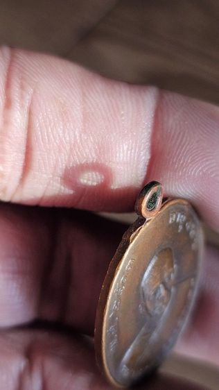 เหรียญหลวงพ่อแดงวัดเขาบันใดอิฐปี2503 รูปที่ 11