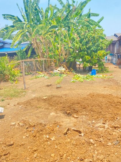 ใช่ ที่ดินบ้านน้ำดิบ รูปที่ 3