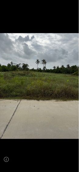 ที่ดินสิงหนคร 2ไร่ รูปที่ 3