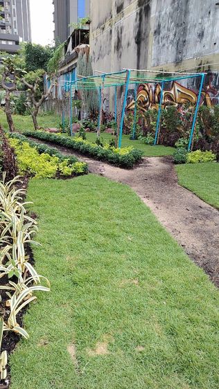 honor5g รูปที่ 4