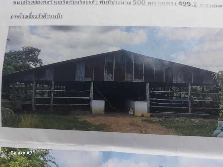 ให้เช่าโรงเรือนเลี้ยงวัวหรือให้เช่ารายปี