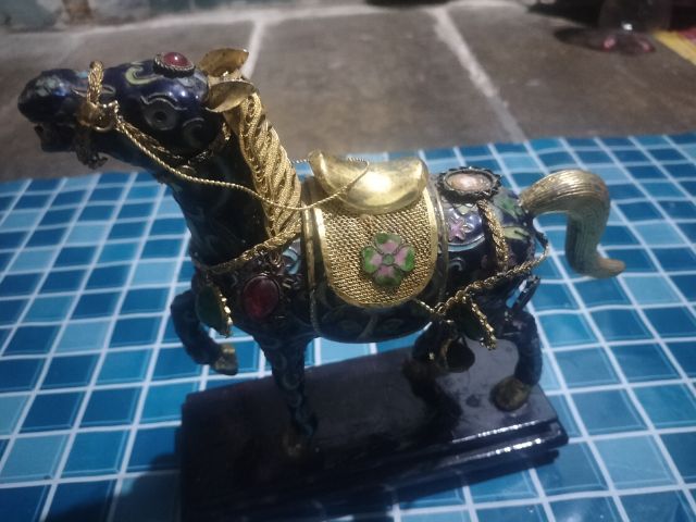 ม้ามงคล รูปที่ 2