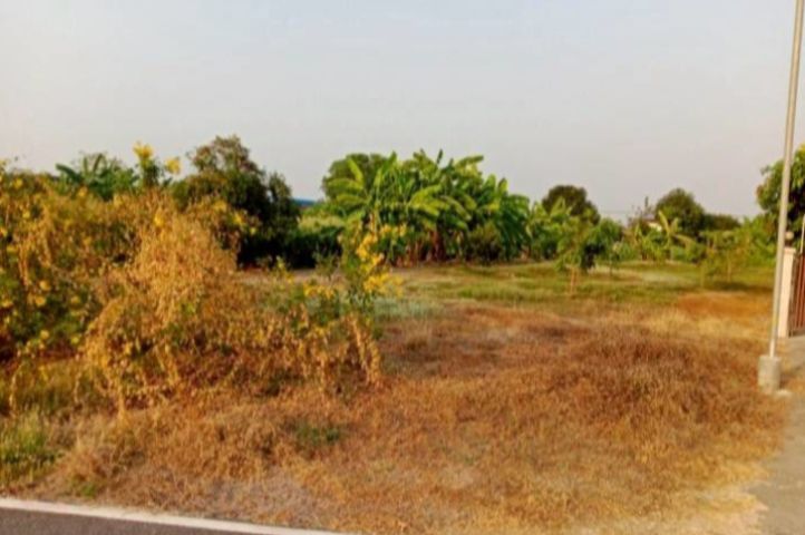 ใช่ ให้เช่าที่ดินเปล่าถมแล้ว 226 ตารางวา วิวสวยติดแม่น้ำน่าน ติดถนนใกล้ปั๊มน้ำมัน และ 7-11 เหมาะสำหรับเช่าทำธุรกิจขนาดเล็กถึงกลาง 