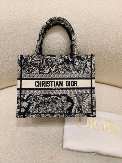 Dior Book Tote