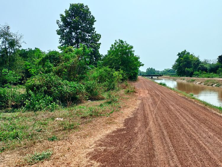 ที่ดินพิษณุโลก