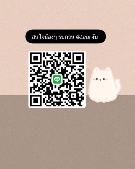 ลูกแมว Scottish Fold รูปที่ 7