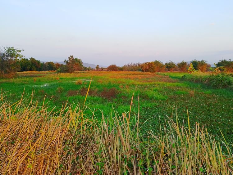 ที่ดินสวย