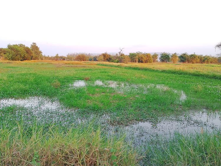 ที่ดินสวย รูปที่ 2