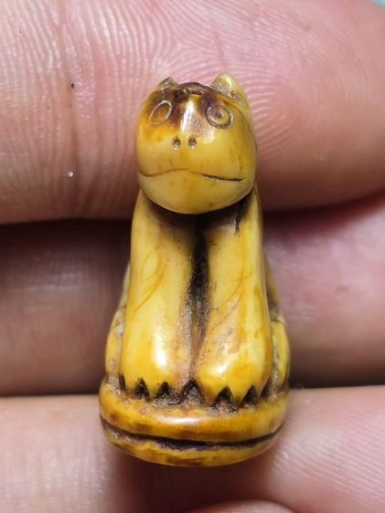 หลวงพ่อปาน รูปที่ 5