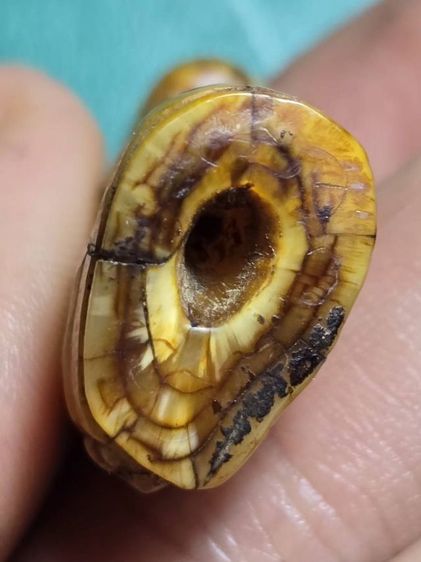 หลวงพ่อพัว รูปที่ 5