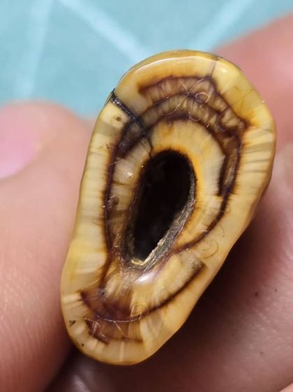 ของเก่า รูปที่ 7