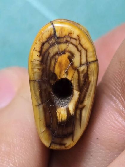 หลวงพ่อปาน รูปที่ 3