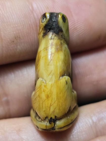 หลวงพ่อปาน รูปที่ 6