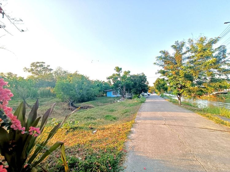 🔥🔥ถูกที่สุดในย่านนี้  ที่ดิน 2 ไร่  วิวคลอง น้ำไม่ท่วม ซ.มิตรไมตรี คู้ซ้าย หนองจอก รูปที่ 2