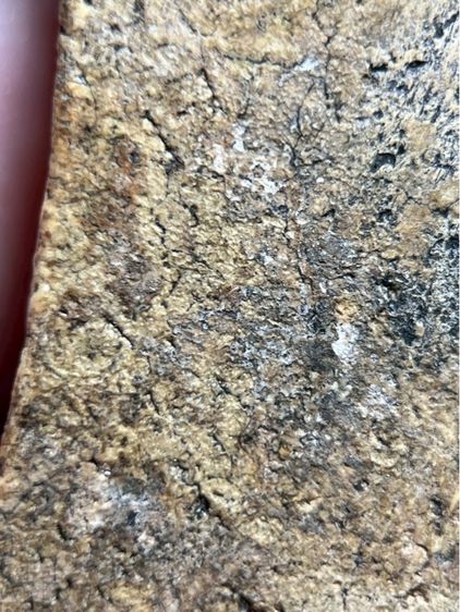 พระยอดขุนพล เนื้อผงเก่าสวย รูปที่ 13