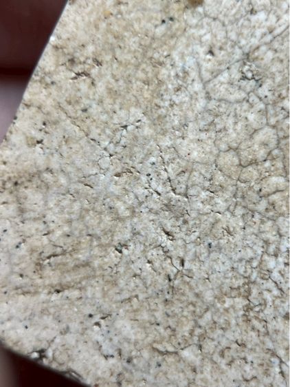 พระสมเด็จวัดระฆังพิมพ์ใหญ่ รูปที่ 11