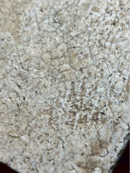 พระสมเด็จวัดระฆังพิมพ์ใหญ่ รูปที่ 10