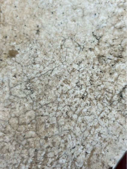 พระสมเด็จวัดระฆังพิมพ์ใหญ่ รูปที่ 13