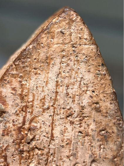 พระขุนแผนพลายคู่ กรุวัดบ้านกร่าง จังหวัดสุพรรณบุรี  รูปที่ 15