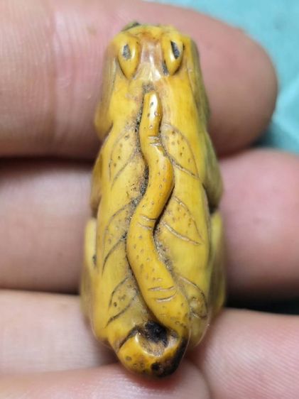 หลวงพ่อปาน รูปที่ 6