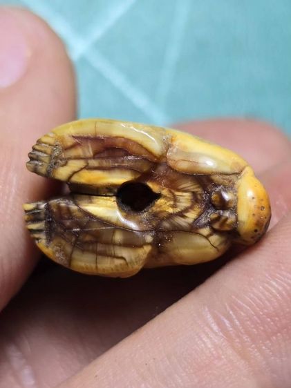 หลวงพ่อปาน รูปที่ 5