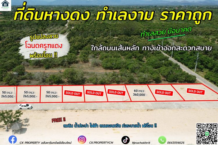 ที่ดิน หางดง ใกล้ถนนหลัก ราคาถูกทำเลงาม พร้อมสร้างบ้าน หรือ ซื้อไว้เก็งกำไร
