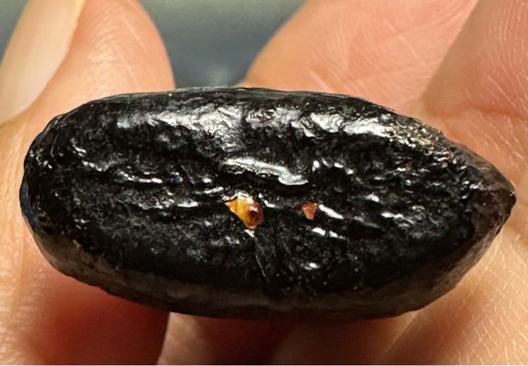 พระปิดตาเนื้อผงคลุกรัก เก่า(ได้มาสภาพเดิมตามภาพ) รูปที่ 8