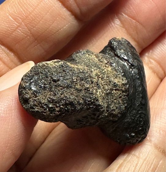 พระปิดตาเนื้อผงคลุกรัก เก่า(ได้มาสภาพเดิมตามภาพ) รูปที่ 5