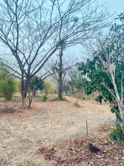 ใช่ ที่ดิน รูปที่ 3