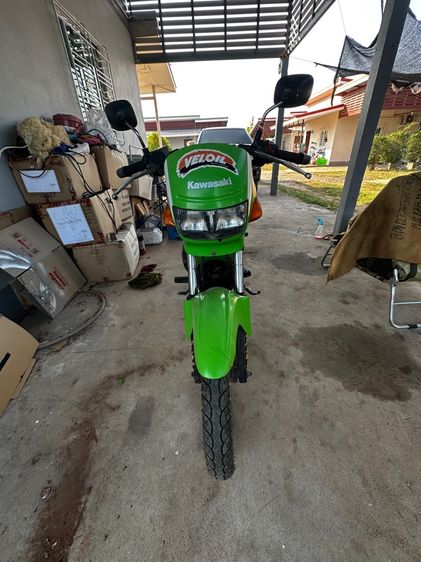 คาวาซากิ ลีโอ รูปที่ 3