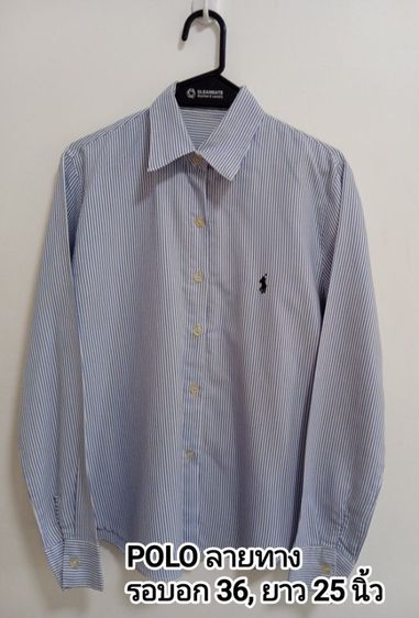 Mango, G2000, Polo,Cinimaclub shirt รูปที่ 8