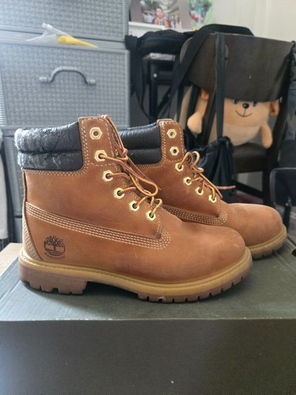 timberland รูปที่ 6