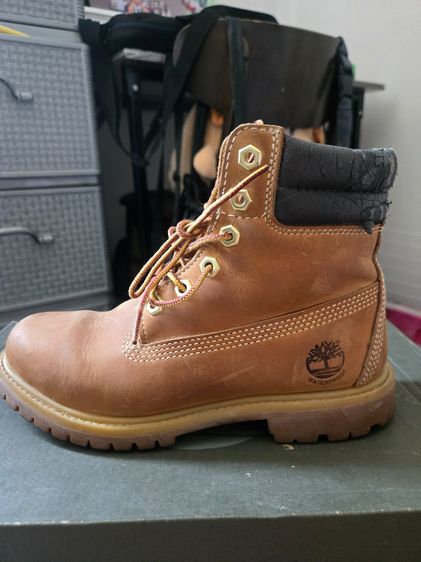 timberland รูปที่ 10