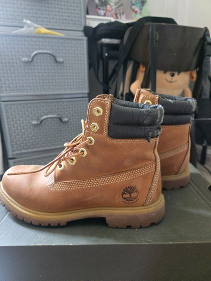 timberland รูปที่ 4