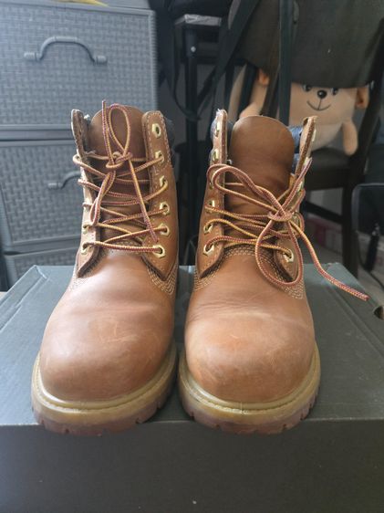 timberland รูปที่ 3