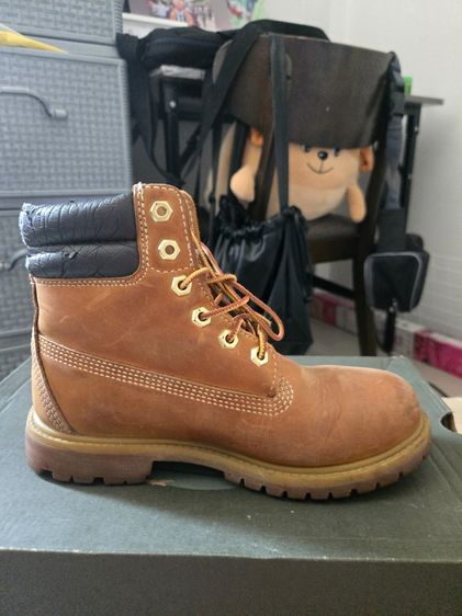 timberland รูปที่ 9
