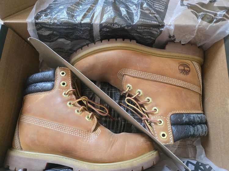 timberland รูปที่ 2