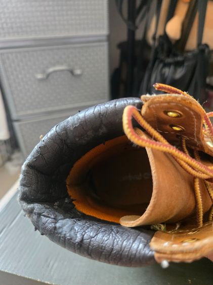 timberland รูปที่ 8