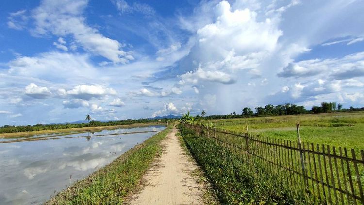 แบ่งขายสวนผสมบ่อปลาแปลงเล็ก เจ้าของขายเอง ข้าวปลาอาหารดินน้ำอุดมสมบูรณ์เหมาะทำบ้านสวนพอเพียง