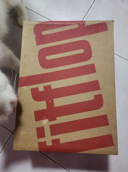 รองเท้าfiflopแท้มือ2 รูปที่ 5