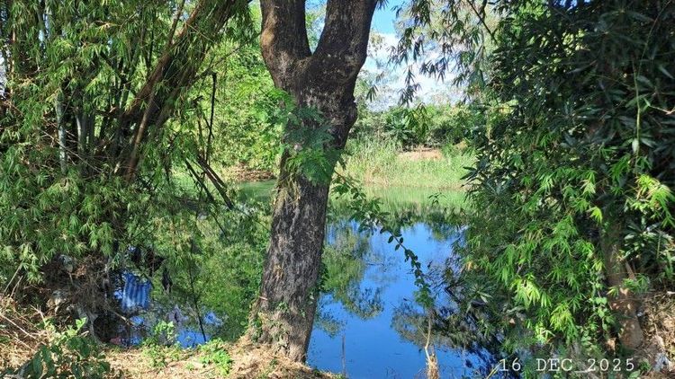 ไม่ใช่ เจ้าของขายเอง ติดแม่น้ำลี้ติดถนนคอนกรีต ใกล้ทางขึ้นดอยอินทนนท์ ไม่เคยมีประวัติน้ำท่วม รูปที่ 3