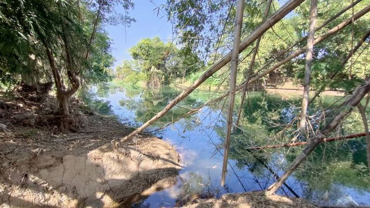 ไม่ใช่ เจ้าของขายเอง ติดแม่น้ำลี้ติดถนนคอนกรีต ใกล้ทางขึ้นดอยอินทนนท์ ไม่เคยมีประวัติน้ำท่วม