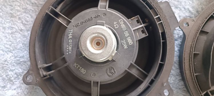 ดอกลำโพง mazda  รูปที่ 6