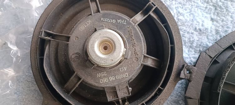 ดอกลำโพง mazda  รูปที่ 4
