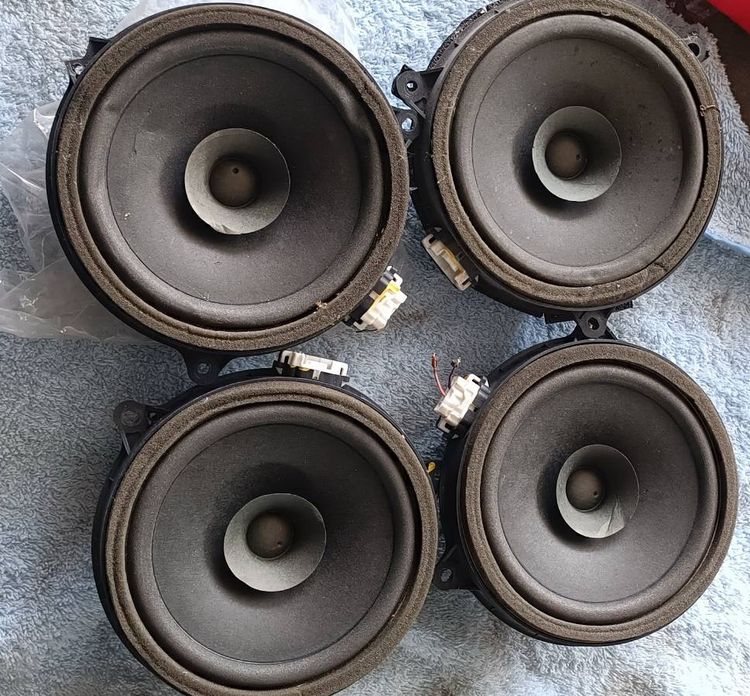 ดอกลำโพง mazda 