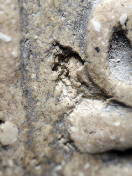 พระสมเด็จพิมพ์เจดีย์เนื้อสวยครับ รูปที่ 8